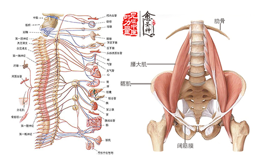 脊椎问题的起因与根治