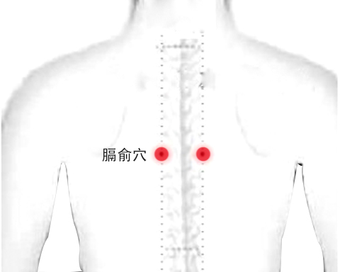 12穴位保健按摩攻略