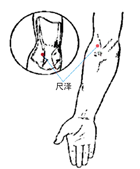 12穴位保健按摩攻略