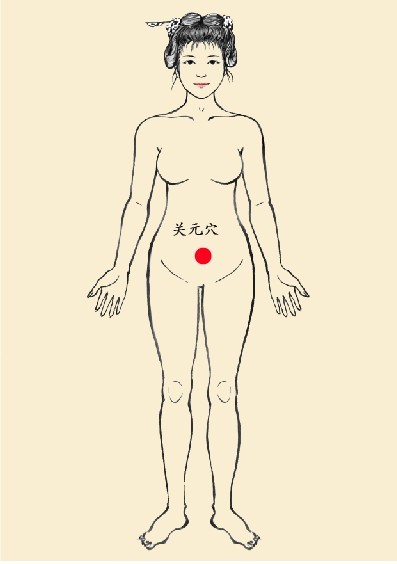 【关元穴】