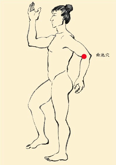 【曲池穴】