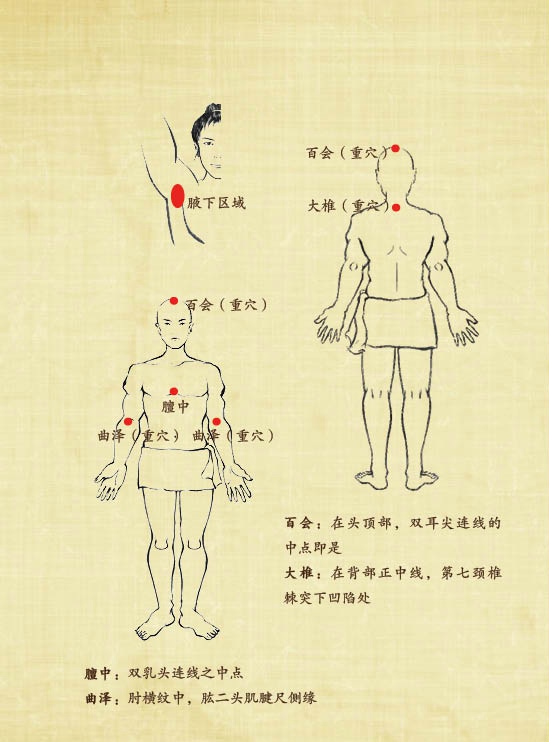 【解酒、护肝】