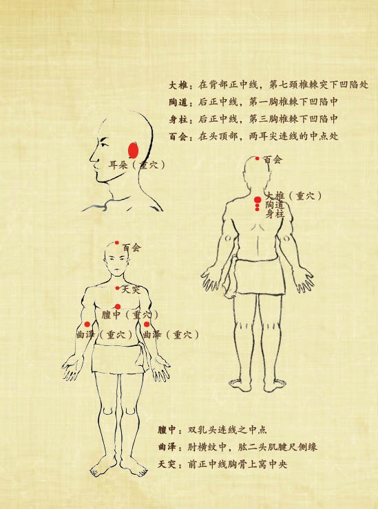 【感冒、发烧】